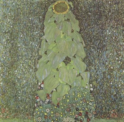 Gustav Klimt Fourteen Sunflowers in a Vase (mk12)